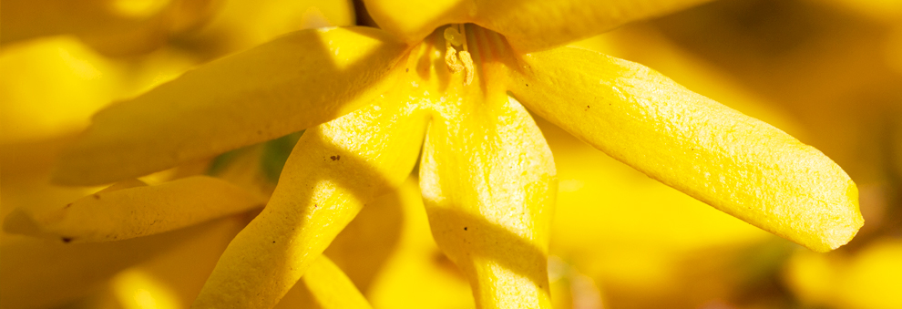 永久免费轰炸电话网页版